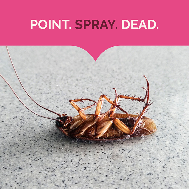 Ant, Roach & Spider Killer Crisp Linen Scent 17.5 oz Point Spray Dead